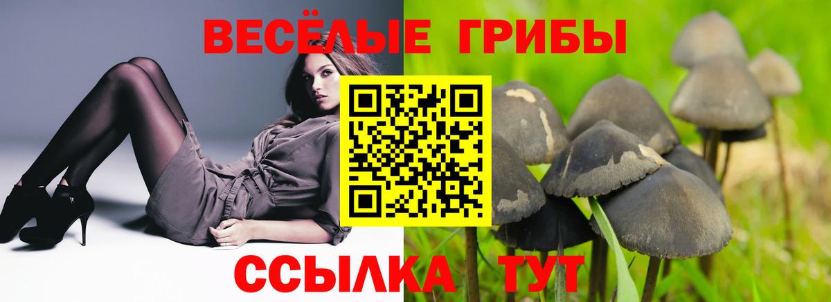 Галлюциногенные грибы Psilocybine cubensis  Галлюциногенные грибы GOLDEN TEACHER  Воронеж  где продают   Вход с VPN 